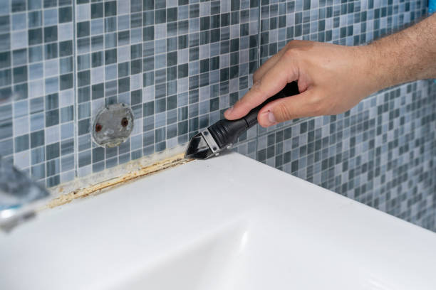 Best Mold Testing  in Coleman, MI